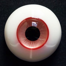 【代购】ED眼 ED系列 ED50