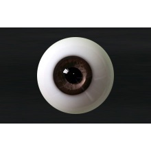 【代购】MY眼 Rugular系列 S29 Baisic Brown