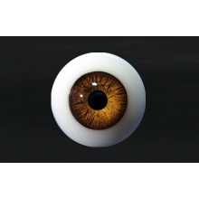 【代购】MY眼 Real Human系列 Oke Color