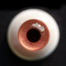 【Sold out】Mako树脂眼 型号:AS-008