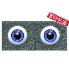 【代购】英眼 P/W系列(D400) Cobalt Blue
