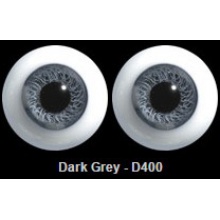【代购】英眼 P/W系列(D400) Dark Grey
