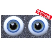 【代购】英眼 STD系列(D24) Blue Hazel