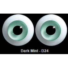 【代购】英眼 STD系列(D24) Dark Mint