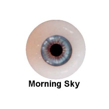 【代购】Eyeco软眼 S系列 Morning Sky