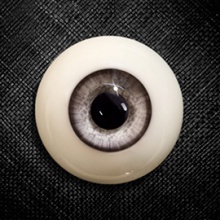 【现货】Mako眼 14MM 型号:AR-007
