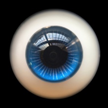 【现货】Mako眼 20MM 型号:D-013