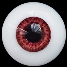 【Sold out】ED眼 Marble限定系列 Rosewood