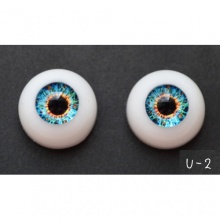 【代购】AIL眼 型号：U-2