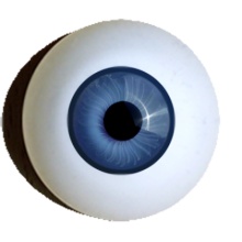 【付款前请先敲猫仔】德眼 Dark Rim系列#51 Light Blue
