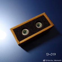 【返图展示】MAKO眼 D-019
