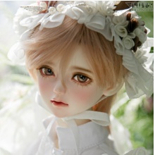 【代购】Luts SDF Muse KAI Head 26夏季