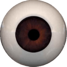 【代购】Eyeco软眼 U系列 Mahogany